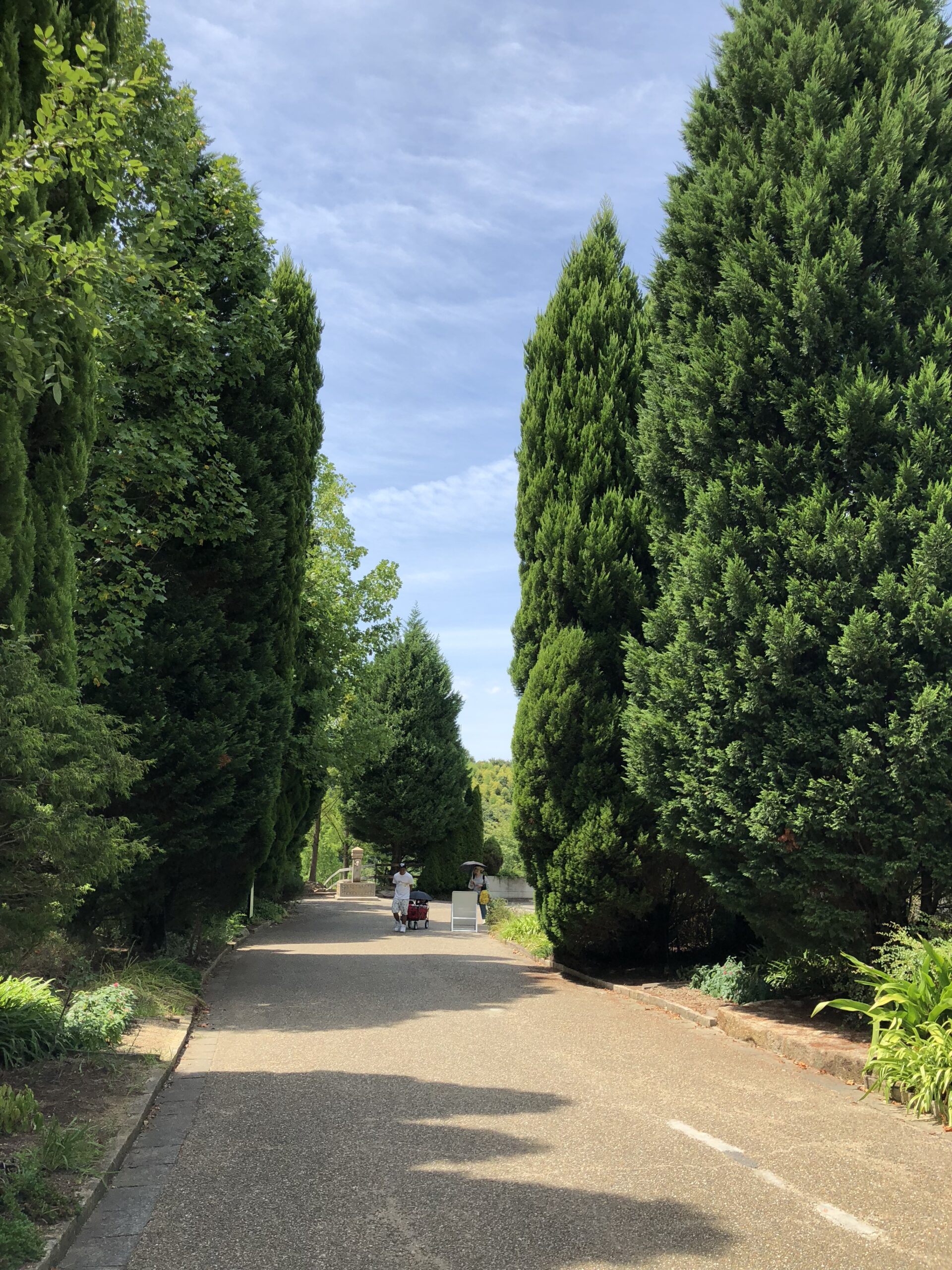 Green Trees