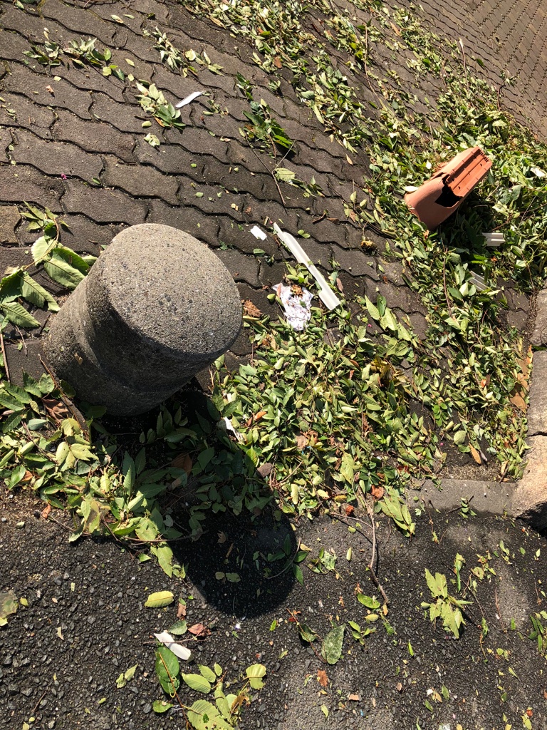 台風後