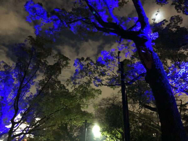 飛び立たない国際仕事ノート | 大阪城サクヤルミナで1歳の子どもと不思議な世界を味わう[オススメ駐車場や案内つき］