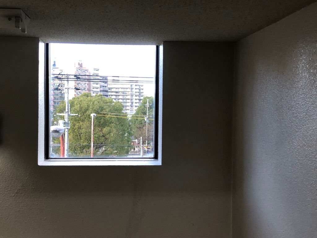 window