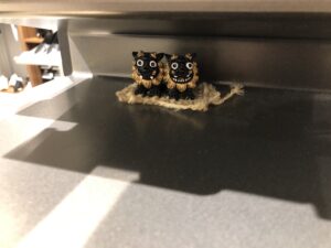 こじま税理士のビジテクブログ | 税理士の税法免除に興味がある人が大学院を考えるときの情報まとめ