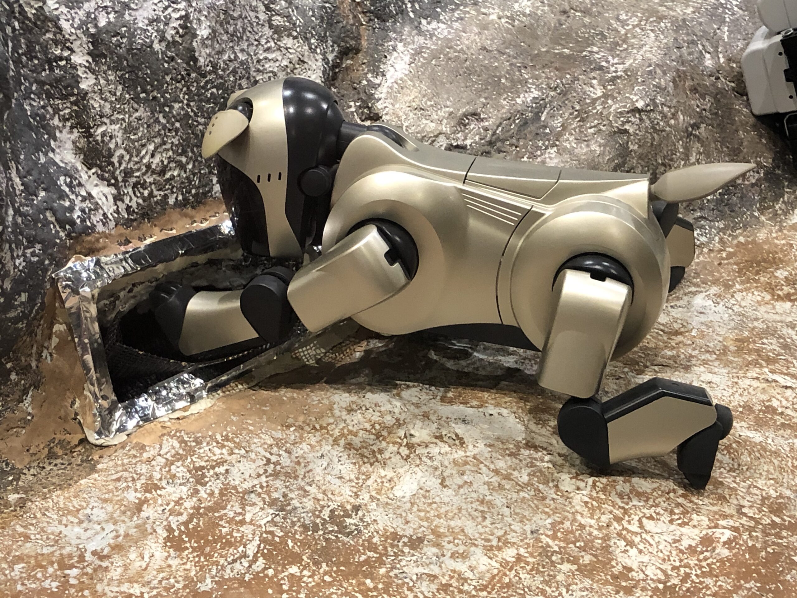 こじま税理士のビジテクブログ | 独立や目標に向かう際に、一般的な時期を気にしない