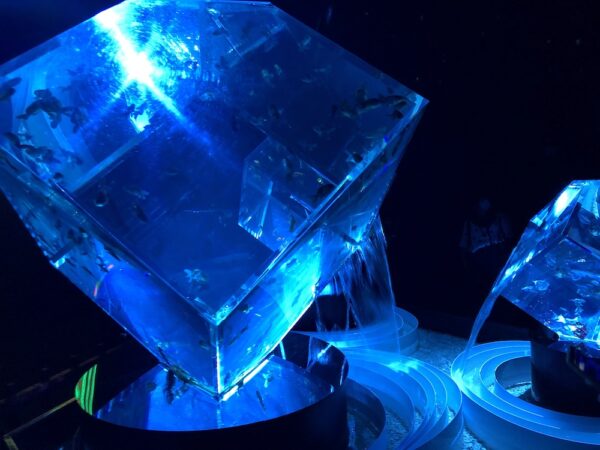 飛び立たない国際仕事ノート | 涼みたい方やいい写真が撮りたい方向けにART AQUARIUM展 大阪 飛び立たない国際仕事ノート | 涼みたい方やいい写真が撮りたい方向けにART AQUARIUM展 大阪