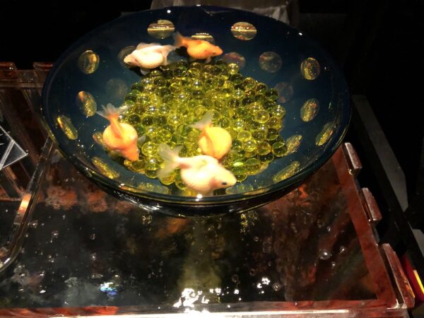 飛び立たない国際仕事ノート | 涼みたい方やいい写真が撮りたい方向けにART AQUARIUM展 大阪 飛び立たない国際仕事ノート | 涼みたい方やいい写真が撮りたい方向けにART AQUARIUM展 大阪