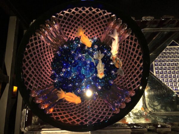 飛び立たない国際仕事ノート | 涼みたい方やいい写真が撮りたい方向けにART AQUARIUM展 大阪 飛び立たない国際仕事ノート | 涼みたい方やいい写真が撮りたい方向けにART AQUARIUM展 大阪