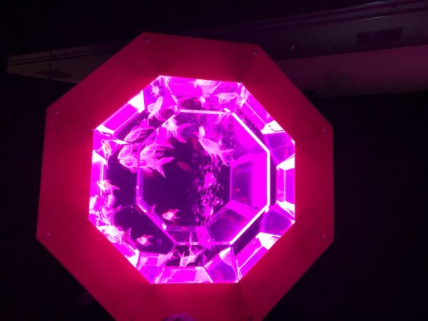 飛び立たない国際仕事ノート | 涼みたい方やいい写真が撮りたい方向けにART AQUARIUM展 大阪 飛び立たない国際仕事ノート | 涼みたい方やいい写真が撮りたい方向けにART AQUARIUM展 大阪