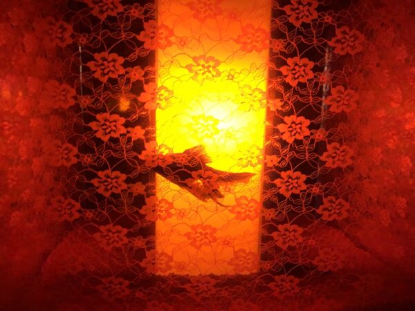 飛び立たない国際仕事ノート | 涼みたい方やいい写真が撮りたい方向けにART AQUARIUM展 大阪 飛び立たない国際仕事ノート | 涼みたい方やいい写真が撮りたい方向けにART AQUARIUM展 大阪
