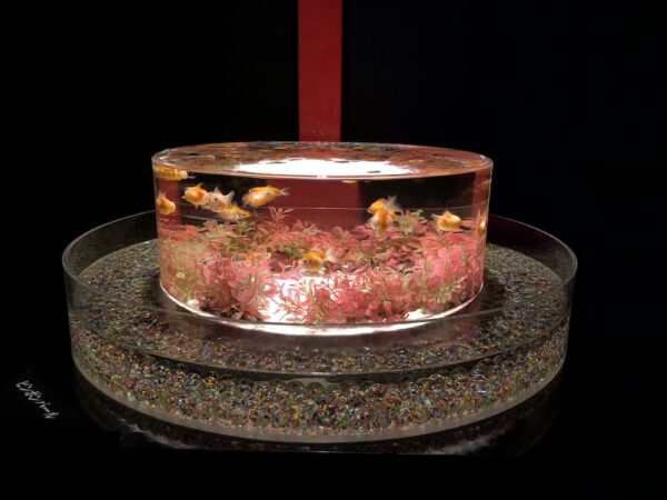 飛び立たない国際仕事ノート | 涼みたい方やいい写真が撮りたい方向けにART AQUARIUM展 大阪 飛び立たない国際仕事ノート | 涼みたい方やいい写真が撮りたい方向けにART AQUARIUM展 大阪