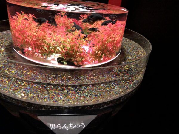 飛び立たない国際仕事ノート | 涼みたい方やいい写真が撮りたい方向けにART AQUARIUM展 大阪 飛び立たない国際仕事ノート | 涼みたい方やいい写真が撮りたい方向けにART AQUARIUM展 大阪