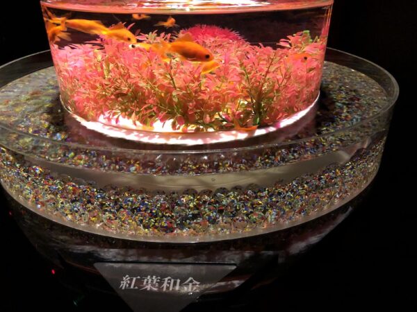 飛び立たない国際仕事ノート | 涼みたい方やいい写真が撮りたい方向けにART AQUARIUM展 大阪 飛び立たない国際仕事ノート | 涼みたい方やいい写真が撮りたい方向けにART AQUARIUM展 大阪