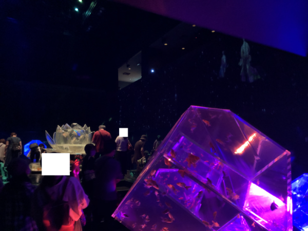 飛び立たない国際仕事ノート | 涼みたい方やいい写真が撮りたい方向けにART AQUARIUM展 大阪 飛び立たない国際仕事ノート | 涼みたい方やいい写真が撮りたい方向けにART AQUARIUM展 大阪