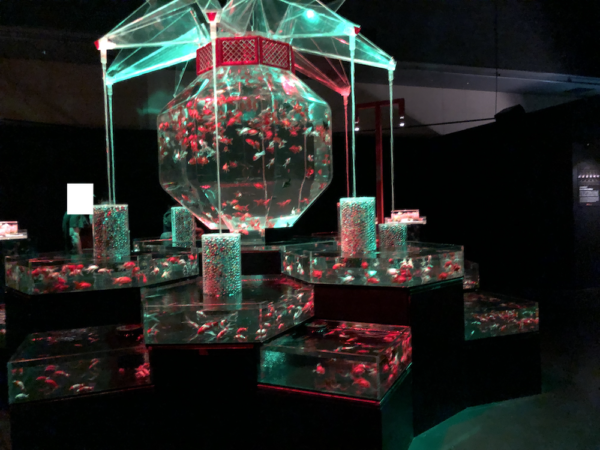 飛び立たない国際仕事ノート | 涼みたい方やいい写真が撮りたい方向けにART AQUARIUM展 大阪 飛び立たない国際仕事ノート | 涼みたい方やいい写真が撮りたい方向けにART AQUARIUM展 大阪