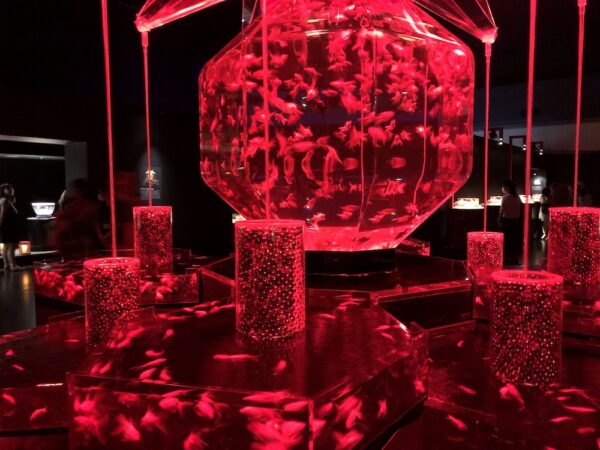 飛び立たない国際仕事ノート | 涼みたい方やいい写真が撮りたい方向けにART AQUARIUM展 大阪 飛び立たない国際仕事ノート | 涼みたい方やいい写真が撮りたい方向けにART AQUARIUM展 大阪