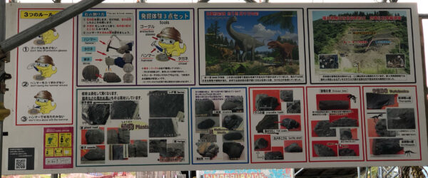 こじま税理士のビジテクブログ | かつやま恐竜の森「化石発掘体験」用意とコツと現場の様子