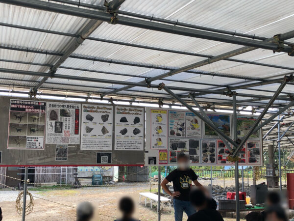 こじま税理士のビジテクブログ | かつやま恐竜の森「化石発掘体験」用意とコツと現場の様子