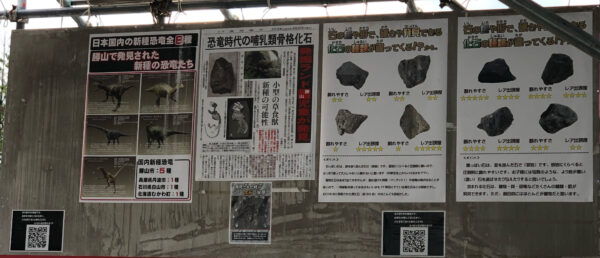 こじま税理士のビジテクブログ | かつやま恐竜の森「化石発掘体験」用意とコツと現場の様子