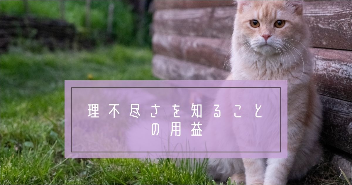 こじま税理士のビジテクブログ | 理不尽さを学ぶことが世の中を知ること