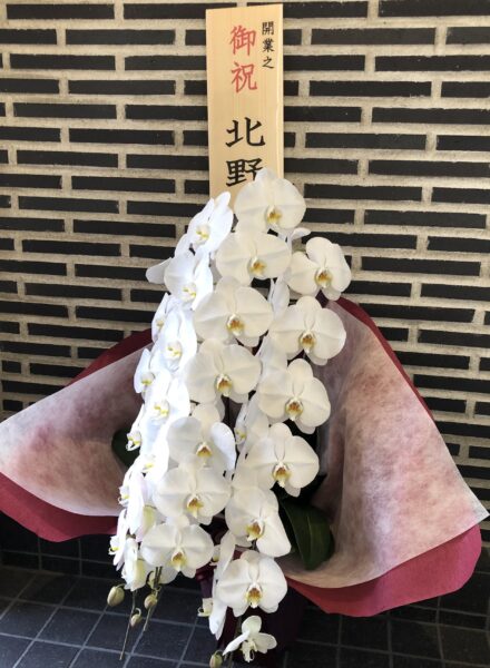 こじま税理士のビジテクブログ | 開業時のご報告とセルフマガジン無料お届け