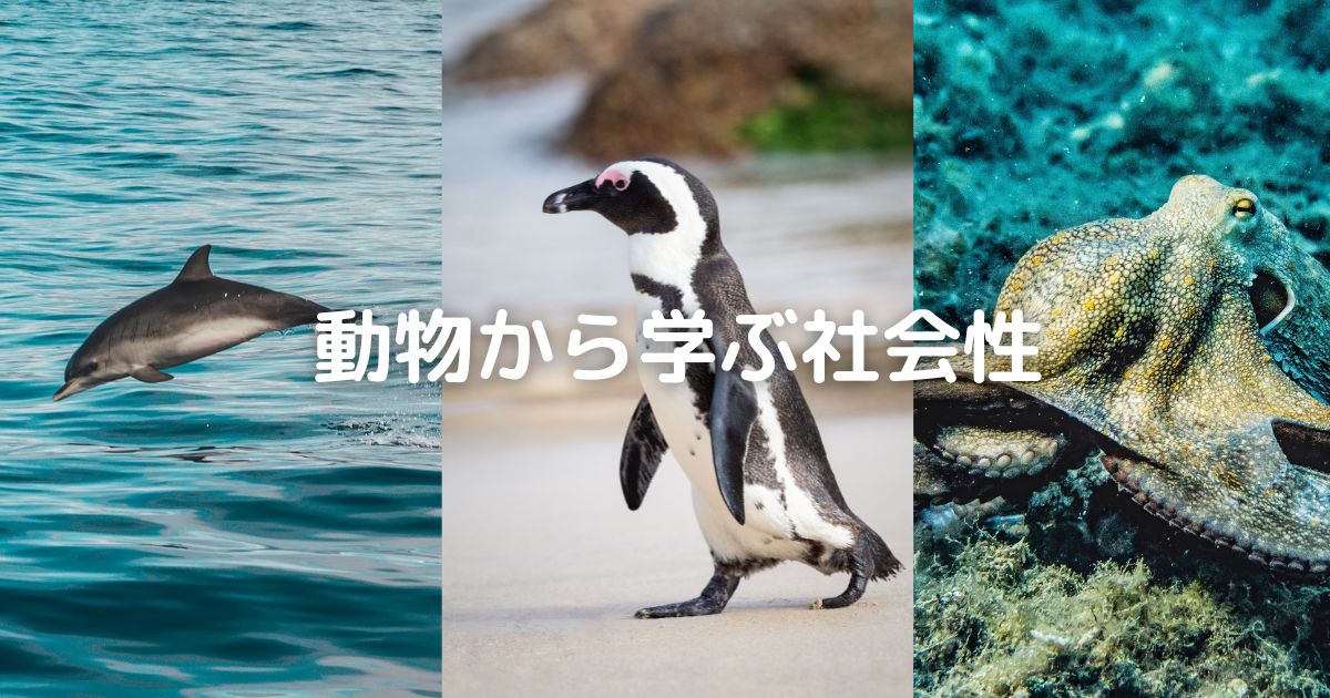 こじま税理士のビジテクブログ | 動物に学ぶ社会性