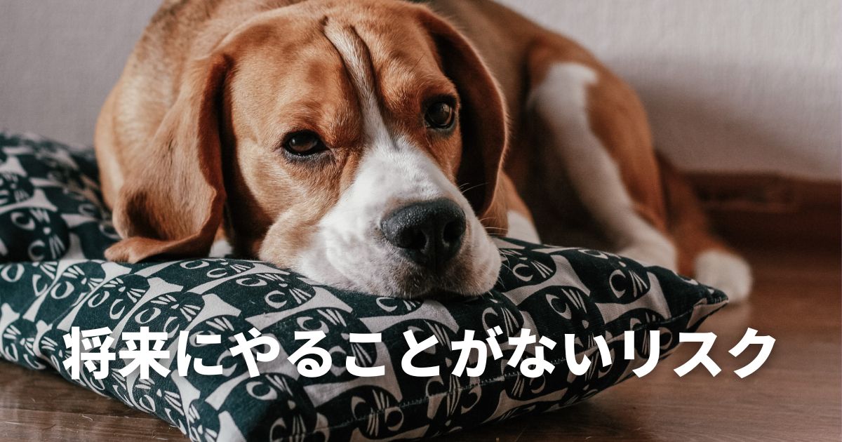 こじま税理士のビジテクブログ | 将来にやることがないリスク