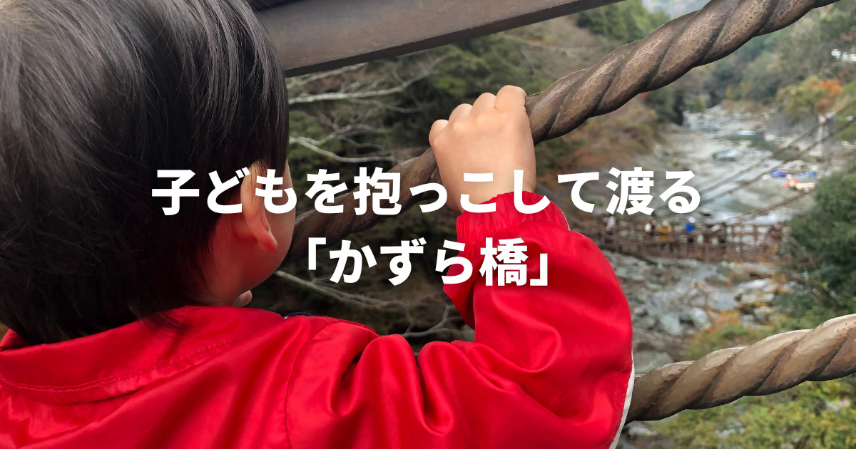 こじま税理士のビジテクブログ | 子どもを抱っこして渡る「かずら橋」はキツイ