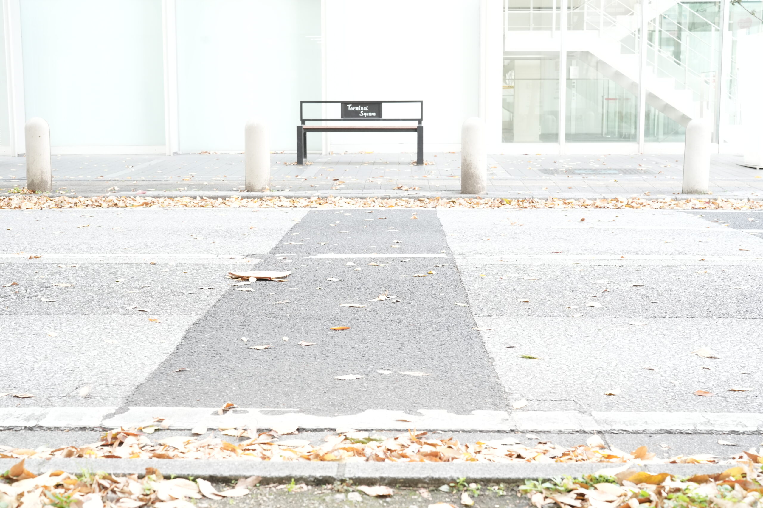 飛び立たない国際仕事ノート | TOP